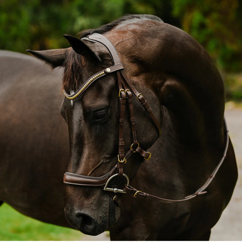 Lumiere Equestrian 'Dallas’, Black Leather Bridle