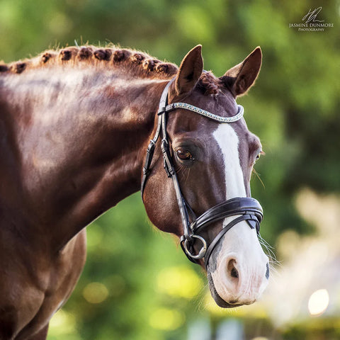 Lumiere Equestrian 'Anastasia' Black Leather Bridle (Convertible)